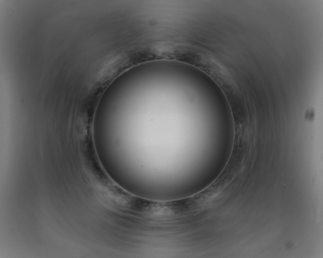 X0000093260702200709261732