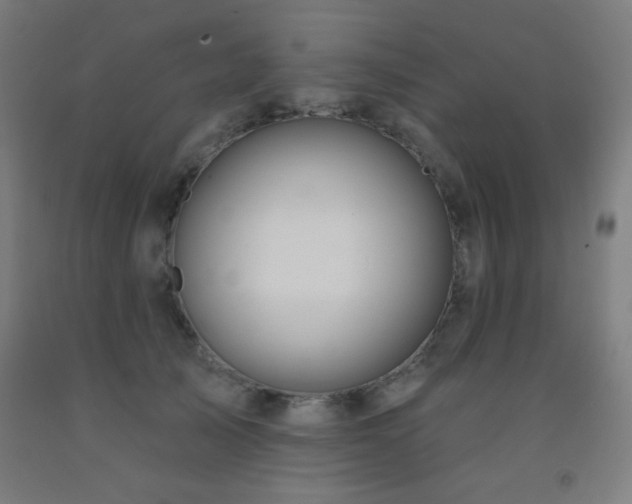 X0000093260705200709261732