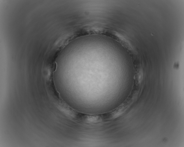 X0000093260709200709261731