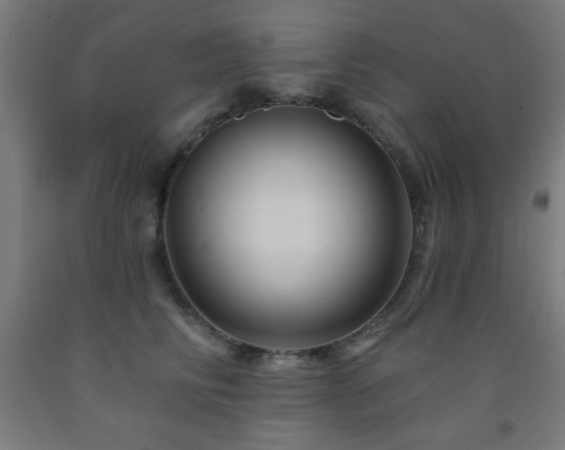 X0000093260710200709261731