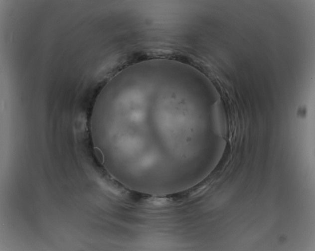 X0000093260711200709261731