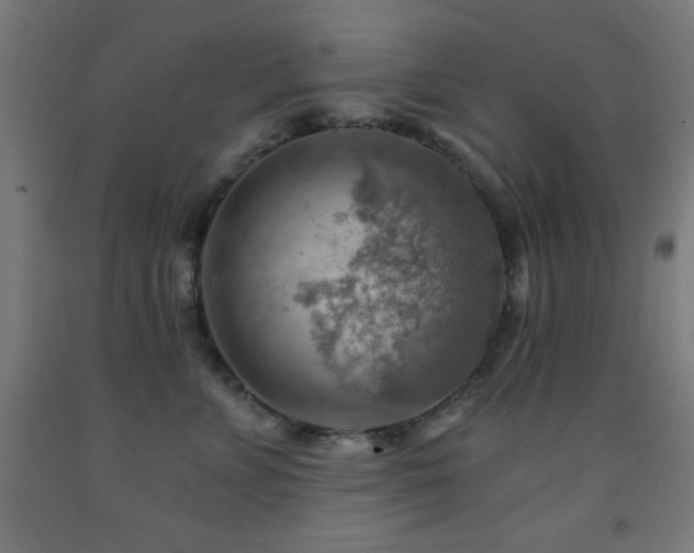 X0000093260715200709261731