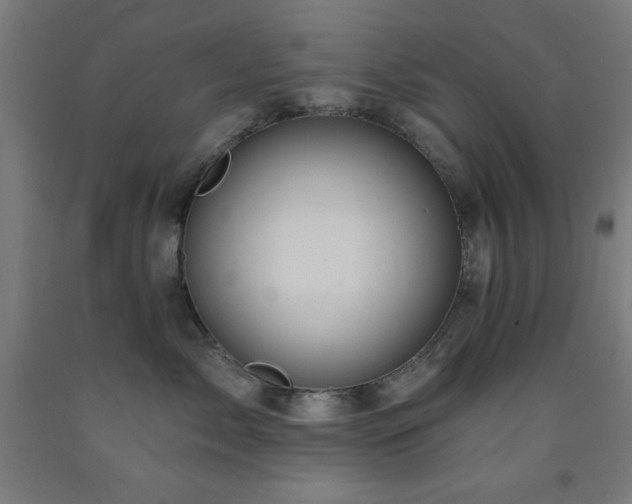 X0000093260717200709261731