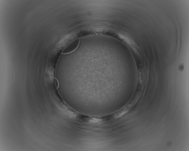 X0000093260718200709261731