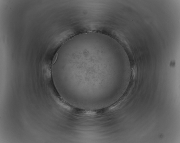 X0000093260719200709261731