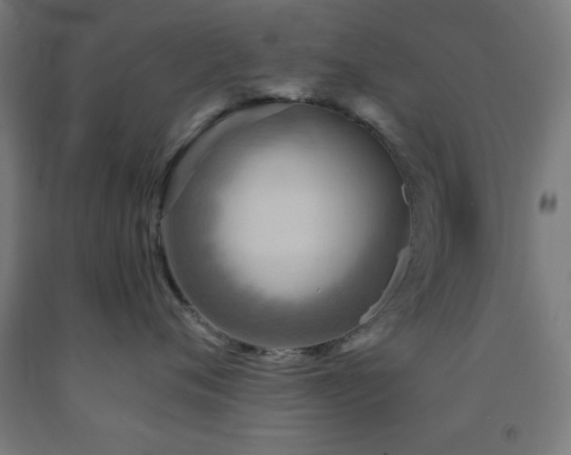 X0000093260720200709261731