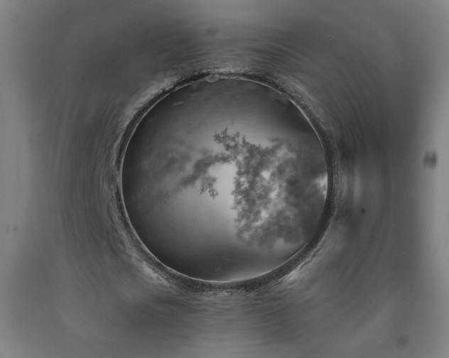 X0000093260721200709261731