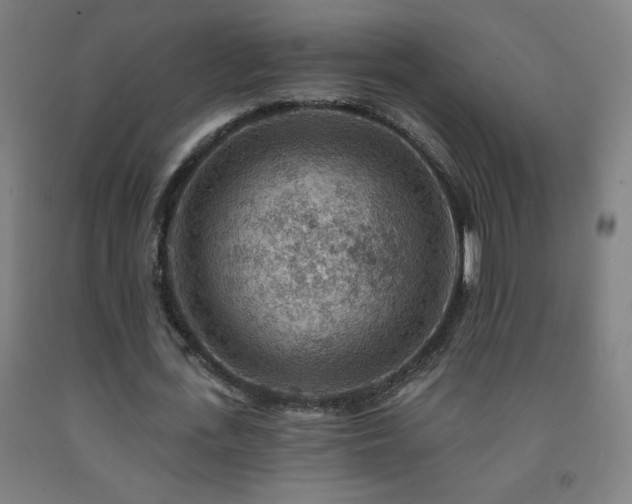X0000093260723200709261731