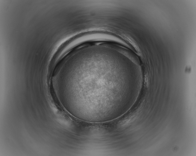 X0000093260724200709261731