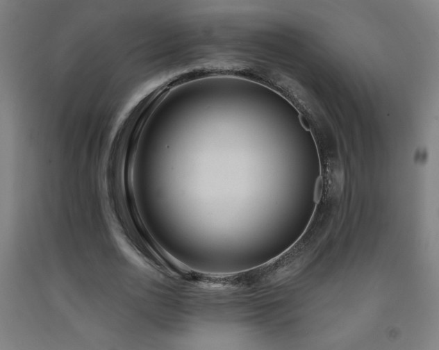 X0000093260726200709261731