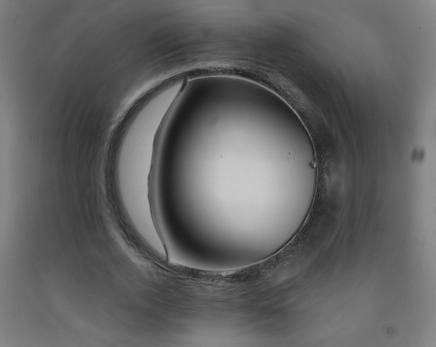 X0000093260728200709261731