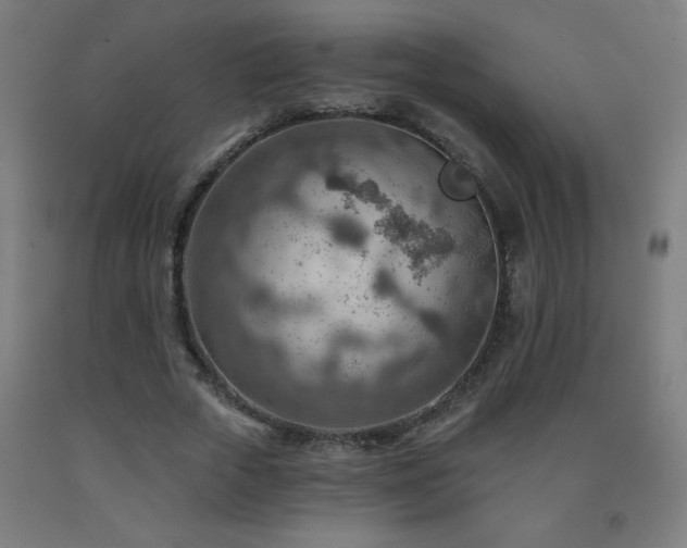 X0000093260729200709261731
