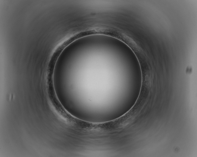 X0000093260730200709261731