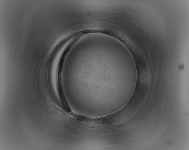 X0000093260731200709261731