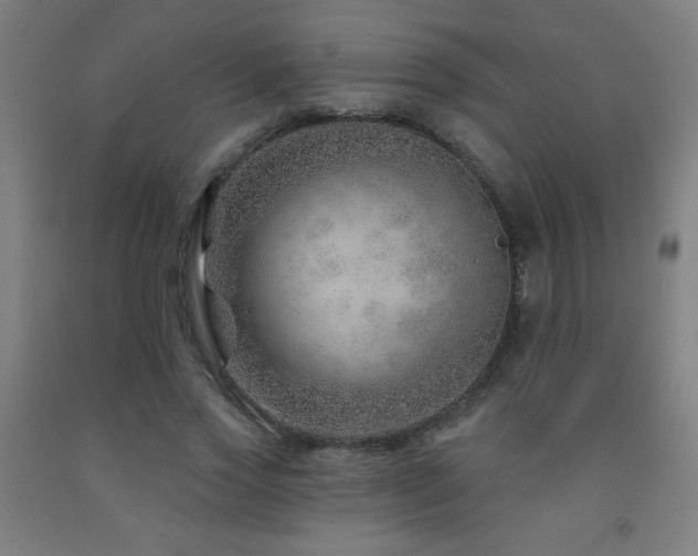 X0000093260733200709261731