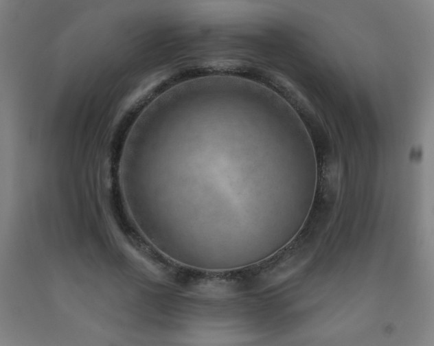 X0000093260734200709261731