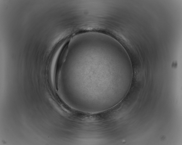 X0000093260735200709261731