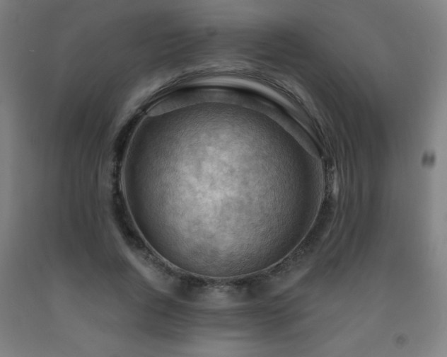 X0000093260736200709261731