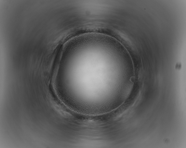 X0000093260737200709261731