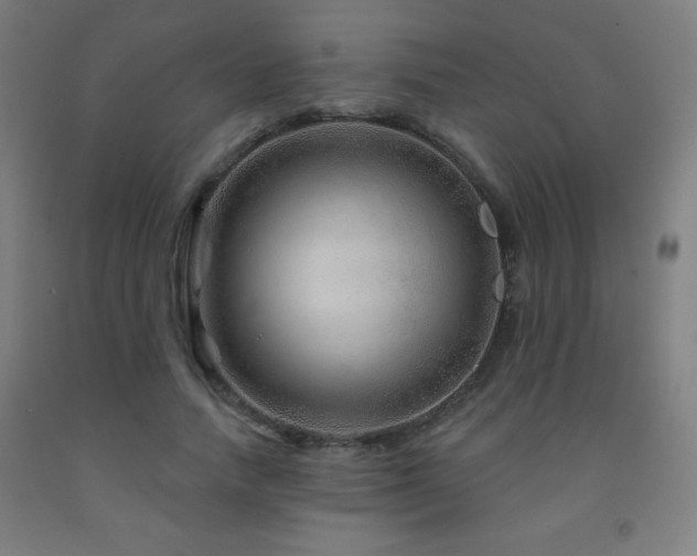 X0000093260738200709261731