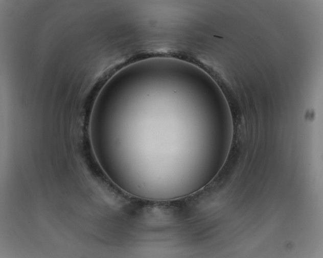X0000093260739200709261731