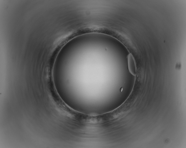 X0000093260740200709261731