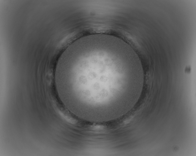X0000093260741200709261731