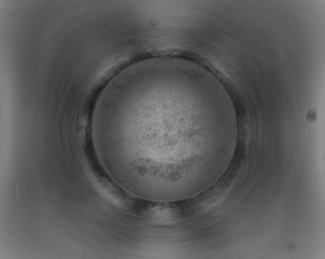 X0000093260742200709261731