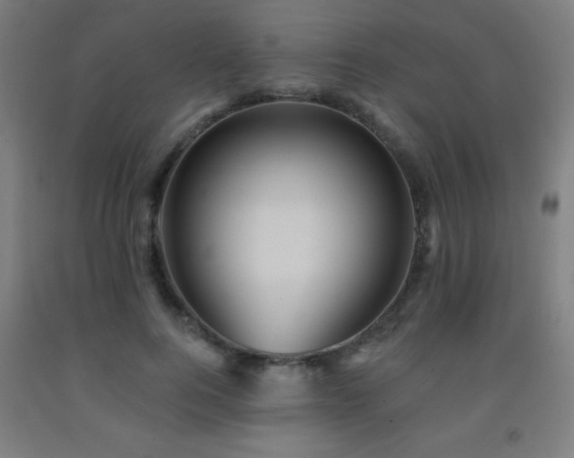 X0000093260744200709261731