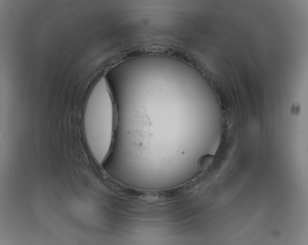 X0000093260745200709261731