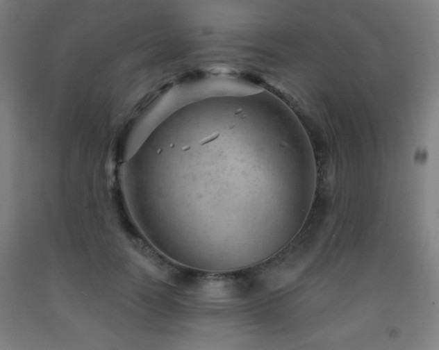 X0000093260746200709261731