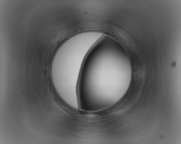 X0000093260748200709261731