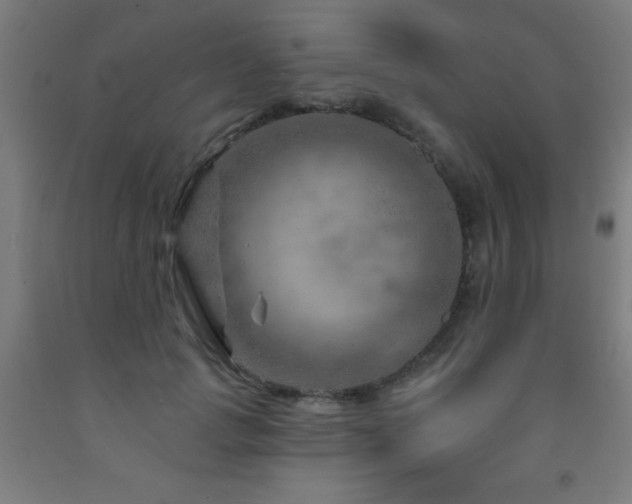 X0000093260749200709261731