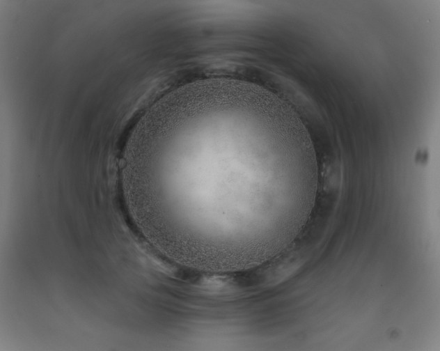 X0000093260753200709261731