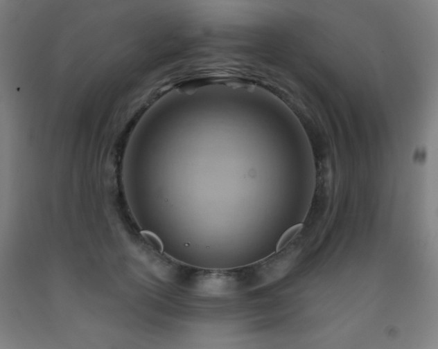 X0000093260754200709261731