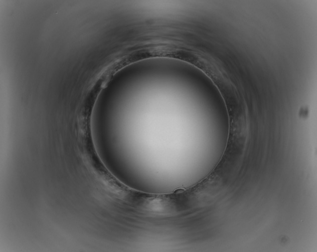 X0000093260755200709261731
