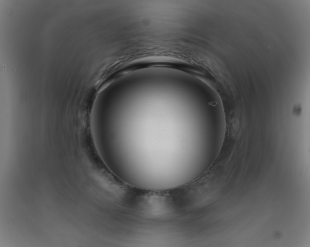 X0000093260756200709261731