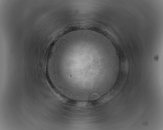 X0000093260757200709261731