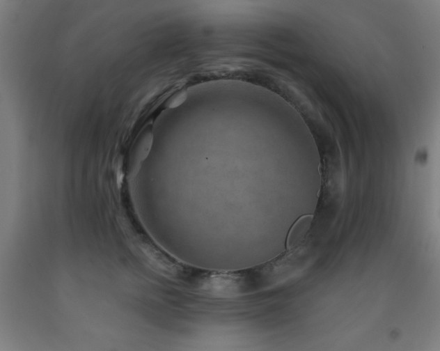 X0000093260758200709261731