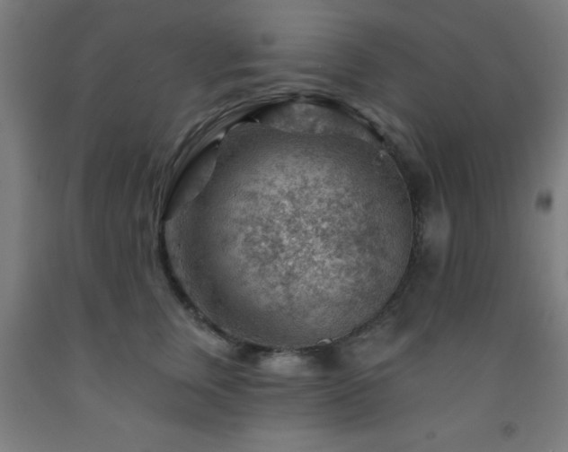 X0000093260759200709261731