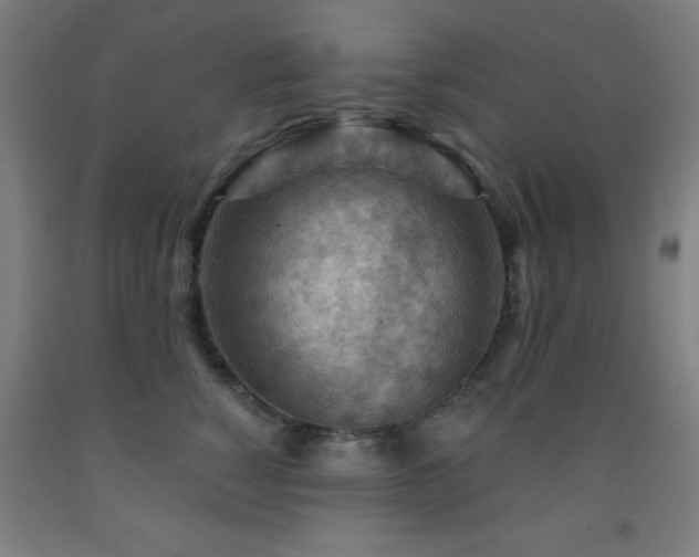 X0000093260760200709261731