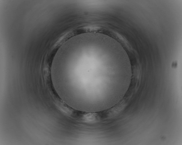 X0000093260761200709261731