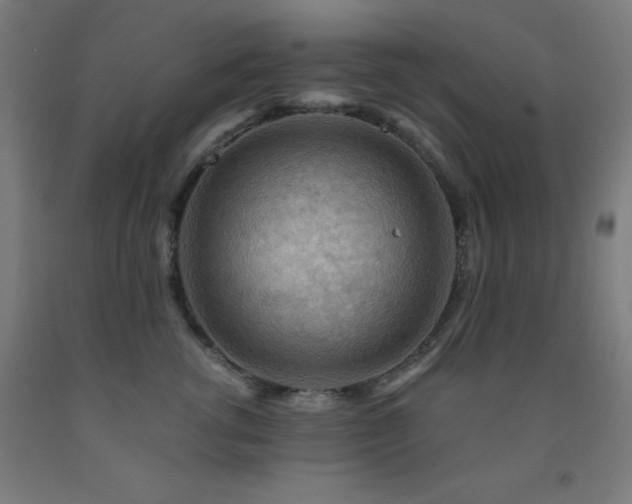 X0000093260762200709261731