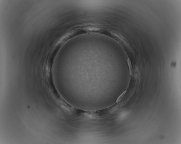 X0000093260763200709261731