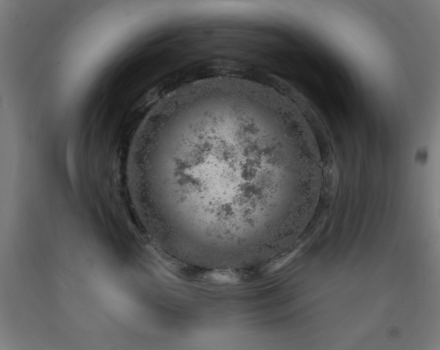 X0000093260765200709261731