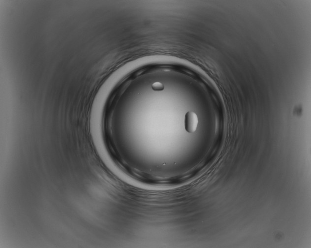 X0000093260766200709261731