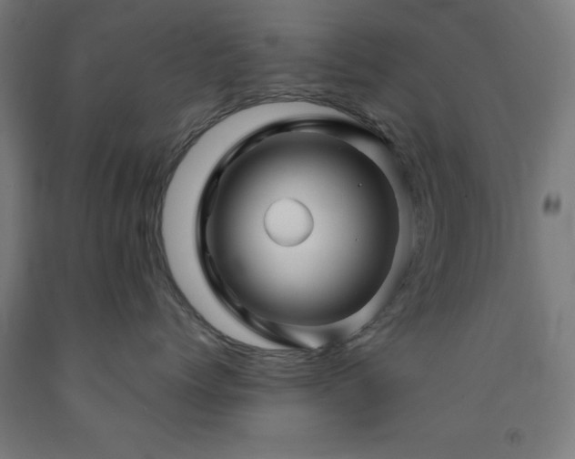 X0000093260768200709261731