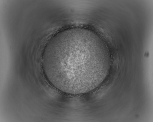 X0000093260769200709261731