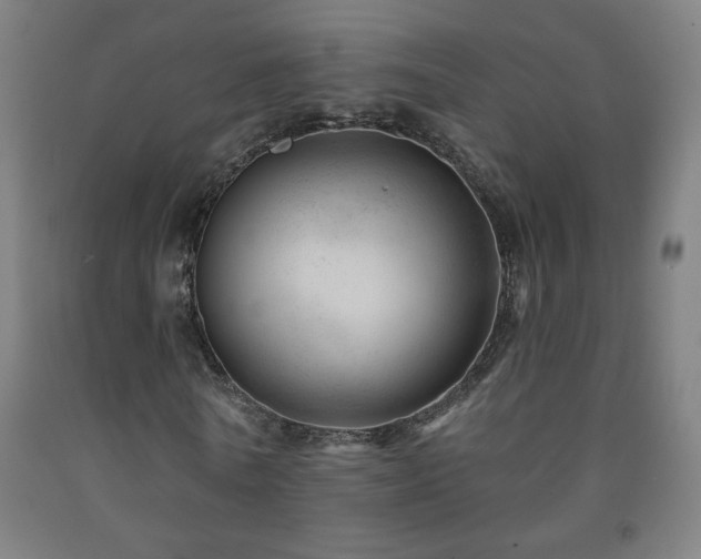 X0000093260770200709261731