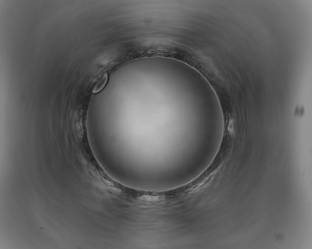 X0000093260771200709261731